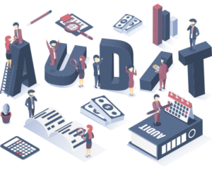 Audit Planning